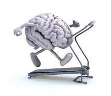 Cervello in esercizio, ginnastica mentale ed educativa