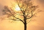 l'autunno, il cambiamento, malessere psicologico