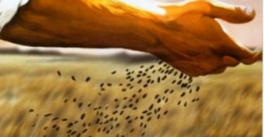La generosità come qualità